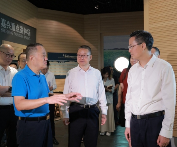 陈伟书记莅临调研历史经典工业提质开展事情